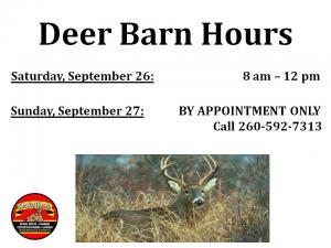 Sunday Hours 3
