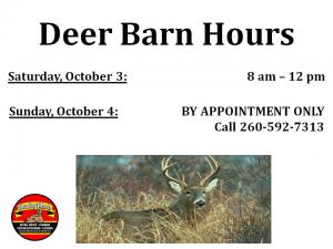 Sunday Hours 3